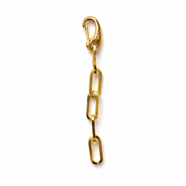 Gold chain with a clasp on a white background