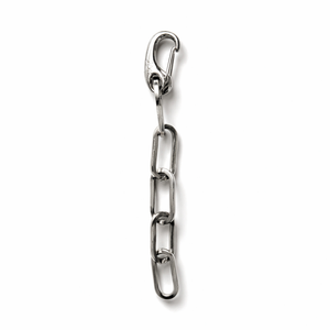 Silver chain with a clasp on a white background