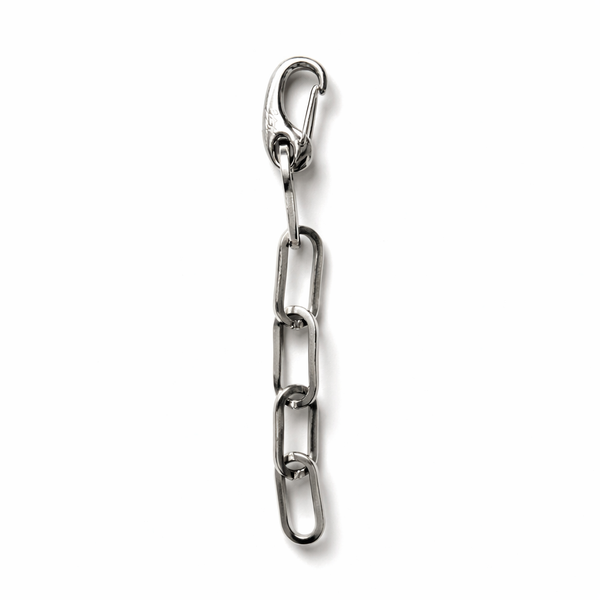 Silver chain with a clasp on a white background