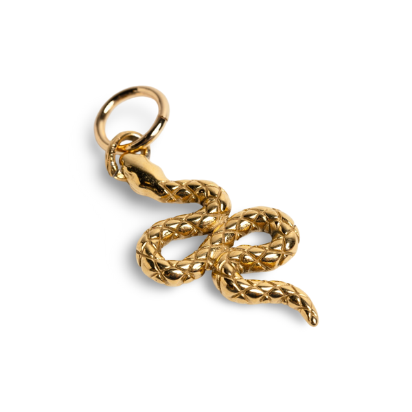 Reputation Snake Pendant