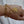 Gold chain bracelet with a round medallion on a wrist against a white curtain background
