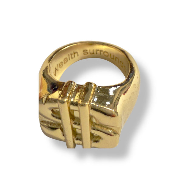 Money Manifestation Ring